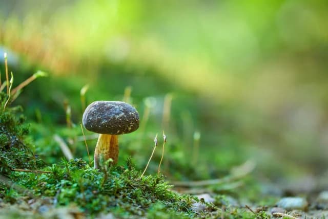 Suknia jak kapłanka: odkryj tajemnicze symbole i modowe inspiracje Suknia jak kapłanka: odkryj tajemnicze symbole i modowe inspiracje